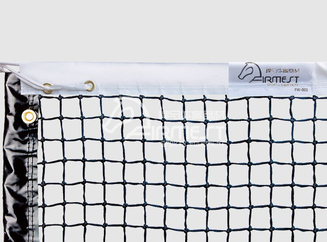 FW-001 经济型网球网